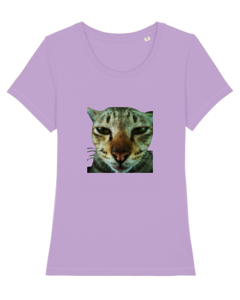 Cat mirage/Ce te miri? Lavender Dawn