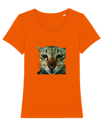 Cat mirage/Ce te miri? Bright Orange