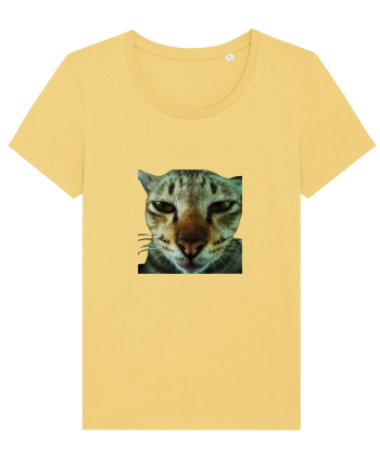 Cat mirage/Ce te miri? Jojoba