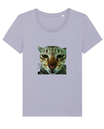 Cat mirage/Ce te miri? Lavender