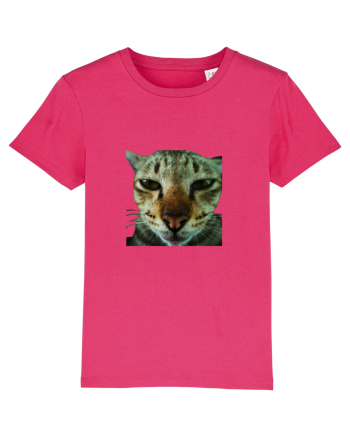 Cat mirage/Ce te miri? Raspberry
