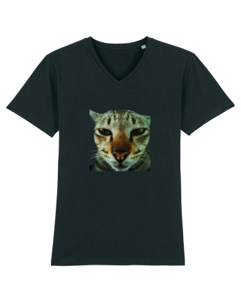 Cat mirage/Ce te miri? Black