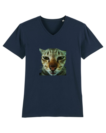 Cat mirage/Ce te miri? French Navy