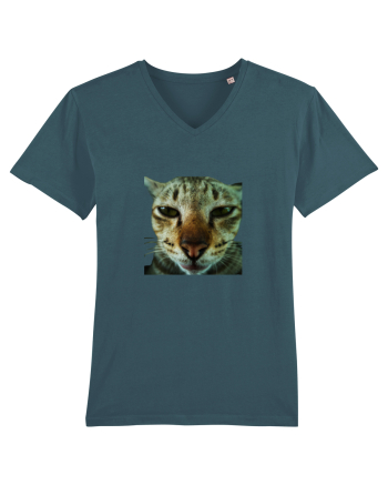 Cat mirage/Ce te miri? Stargazer
