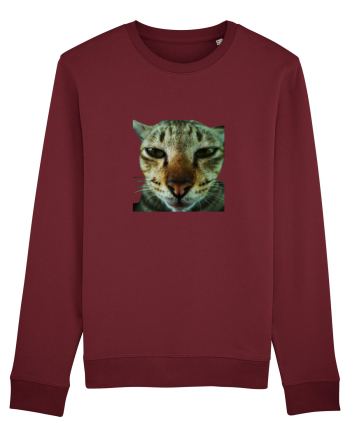 Cat mirage/Ce te miri? Burgundy