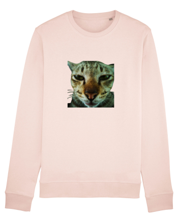 Cat mirage/Ce te miri? Candy Pink