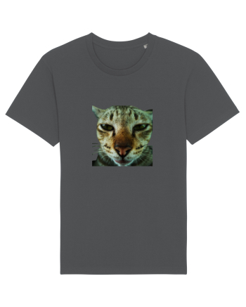 Cat mirage/Ce te miri? Anthracite