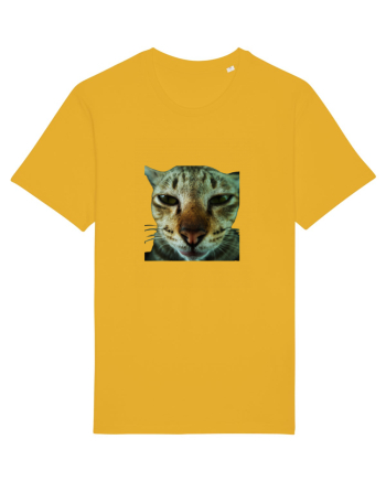 Cat mirage/Ce te miri? Spectra Yellow