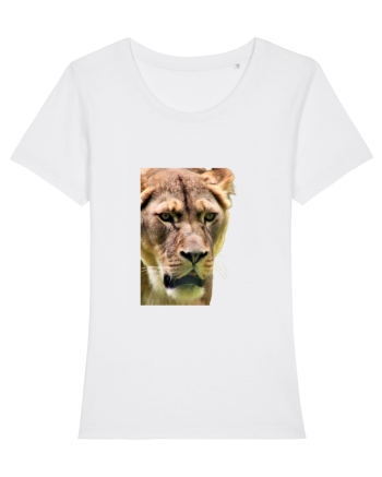 Lioness White
