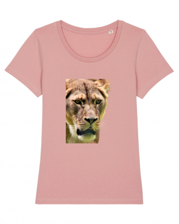 Lioness Canyon Pink