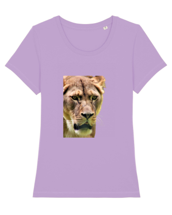 Lioness Lavender Dawn