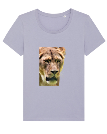 Lioness Lavender