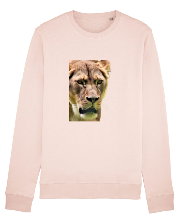 Lioness Candy Pink
