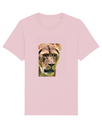 Lioness Cotton Pink