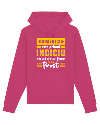 Obrăznicia este primul indiciu că ai de-a face cu un prost Raspberry