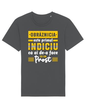 Obrăznicia este primul indiciu că ai de-a face cu un prost Anthracite