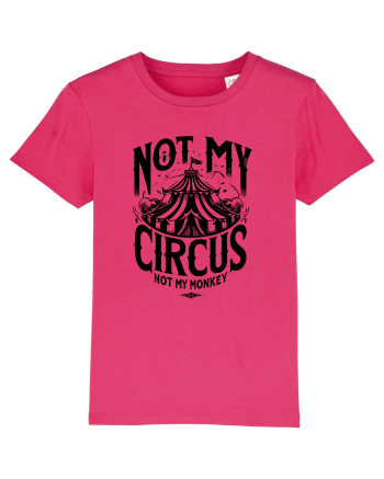 Not my Circus - not my monkey Raspberry