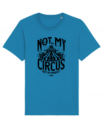 Not my Circus - not my monkey Azur