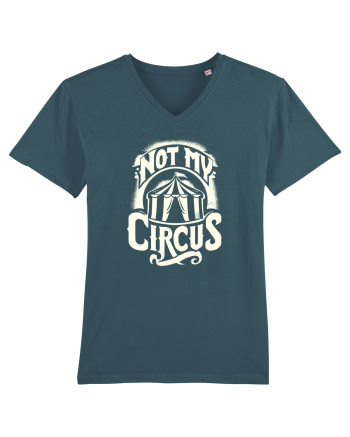 Not my Circus - not my monkey Stargazer
