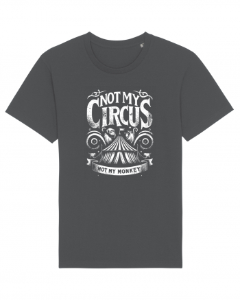 Not my Circus - not my monkey Anthracite