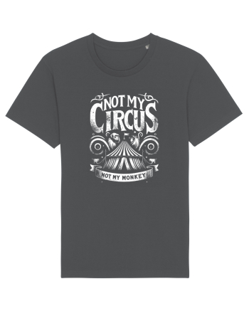Not my Circus - not my monkey Anthracite