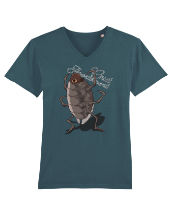 Friendly Cockroach - Caut apartament Stargazer