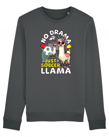 Llama Fotbalistă Anthracite