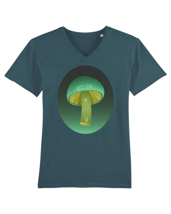 Magic mushroom Stargazer