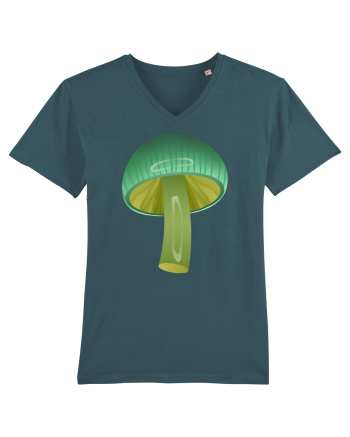 Magic mushroom Stargazer