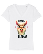 pentru prietenii animalelor - Thanks a llama Tricou mânecă scurtă guler V Damă Evoker