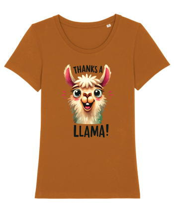 pentru prietenii animalelor - Thanks a llama Roasted Orange