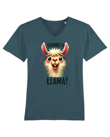 pentru prietenii animalelor - Thanks a llama Stargazer