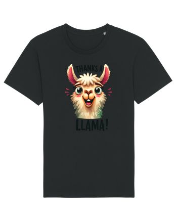 pentru prietenii animalelor - Thanks a llama Black