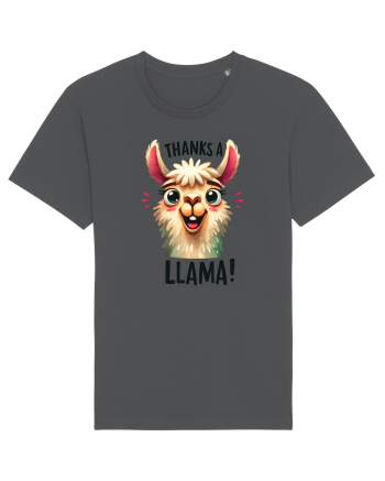 pentru prietenii animalelor - Thanks a llama Anthracite