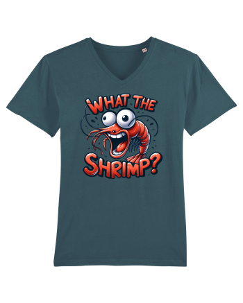 pentru prietenii animalelor - What the shrimp Stargazer