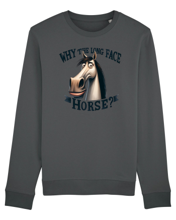 pentru prietenii animalelor - Why the long face, horse Anthracite