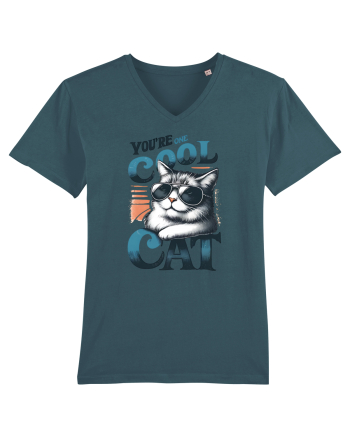 pentru prietenii animalelor - You are one cool cat Stargazer