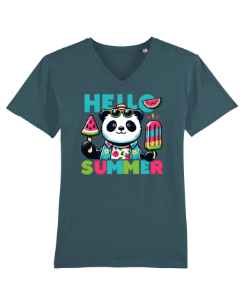 Hello summer - Cum fu panda Stargazer