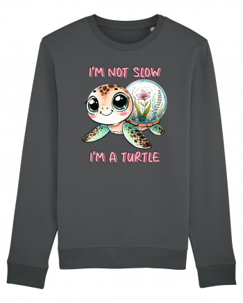 pentru iubitorii de țestoase - I am not slow, I am a turtle Anthracite