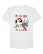 pentru iubitorii de țestoase - I am not slow, I am a turtle Tricou mânecă scurtă guler larg Bărbat Skater