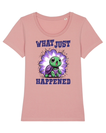 pentru iubitorii de țestoase - What just happened Canyon Pink