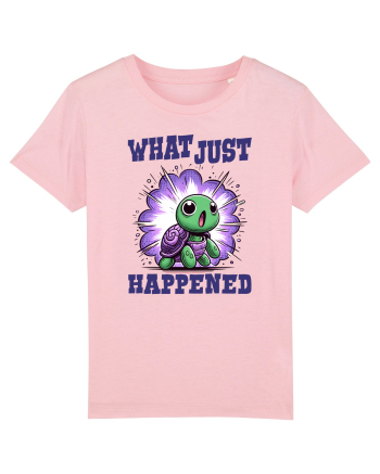pentru iubitorii de țestoase - What just happened Cotton Pink