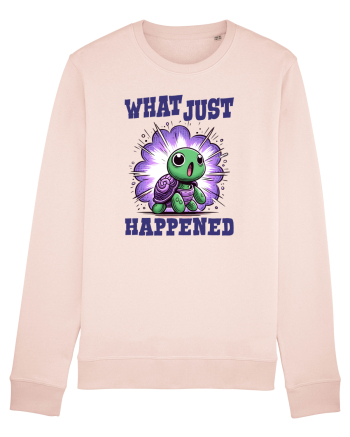 pentru iubitorii de țestoase - What just happened Candy Pink