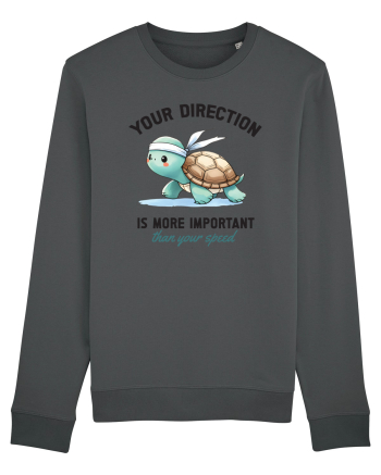 Your direction is more important than your speed Anthracite