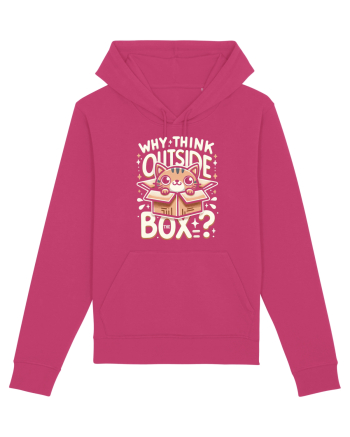 Outside the box - pisica cool 2 Raspberry