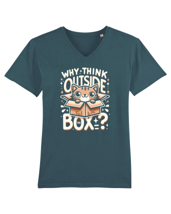 Outside the box - pisica cool 2 Stargazer