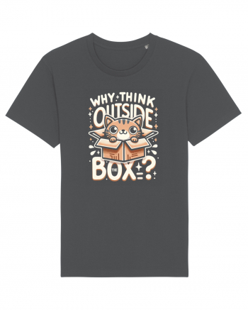 Outside the box - pisica cool 2 Anthracite