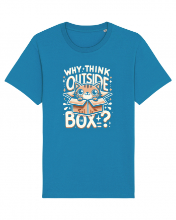 Outside the box - pisica cool 2 Azur