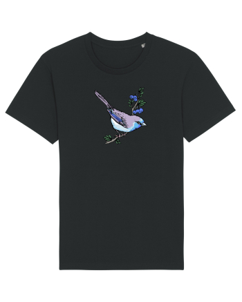 Bird Black