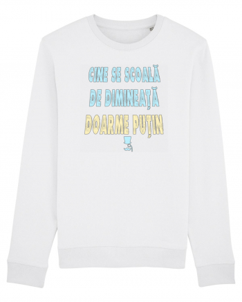 CINE SE SCOALA DE DIMINEATA...DOARME PUTIN :D White